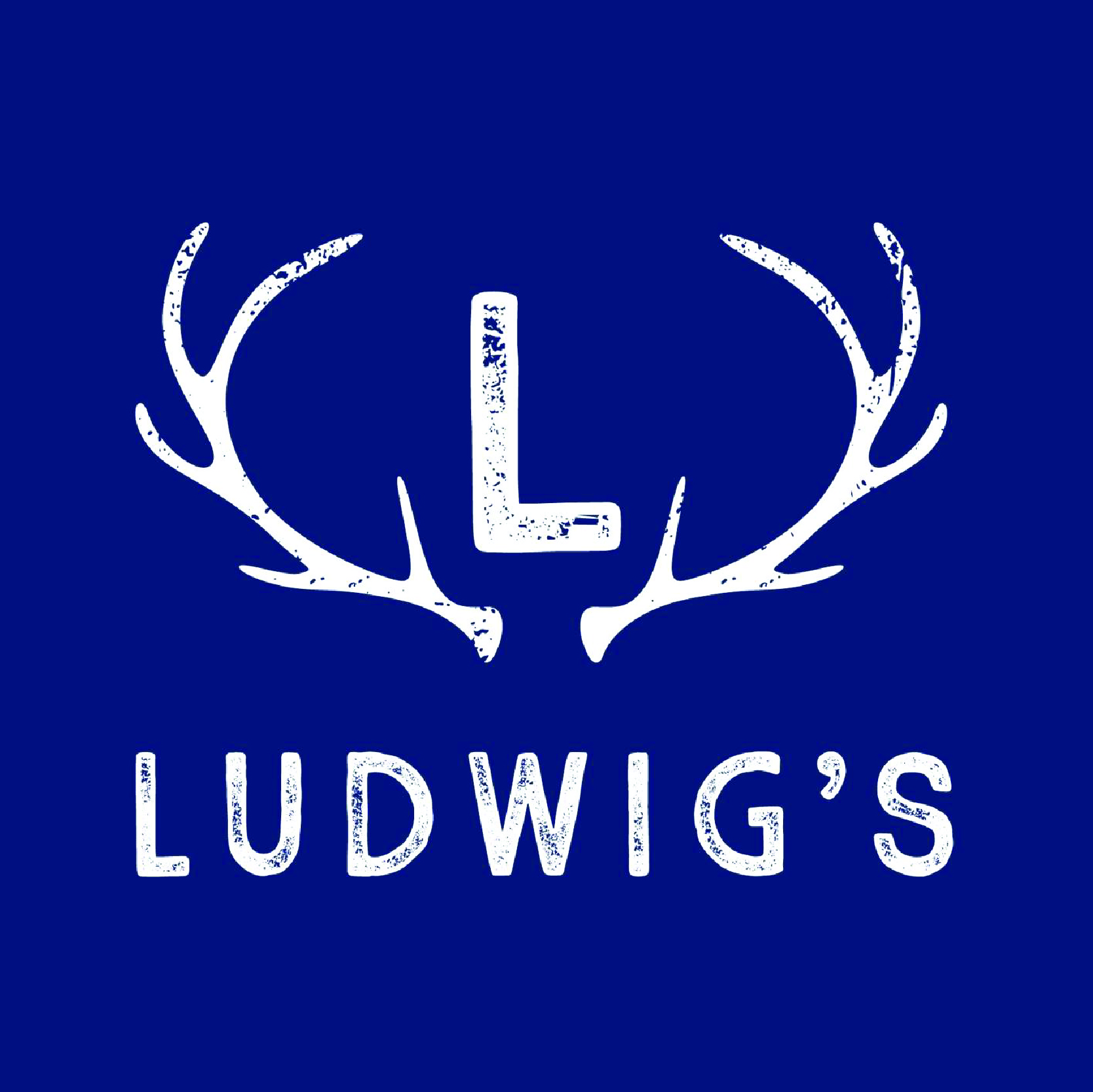 Ludwigs MV