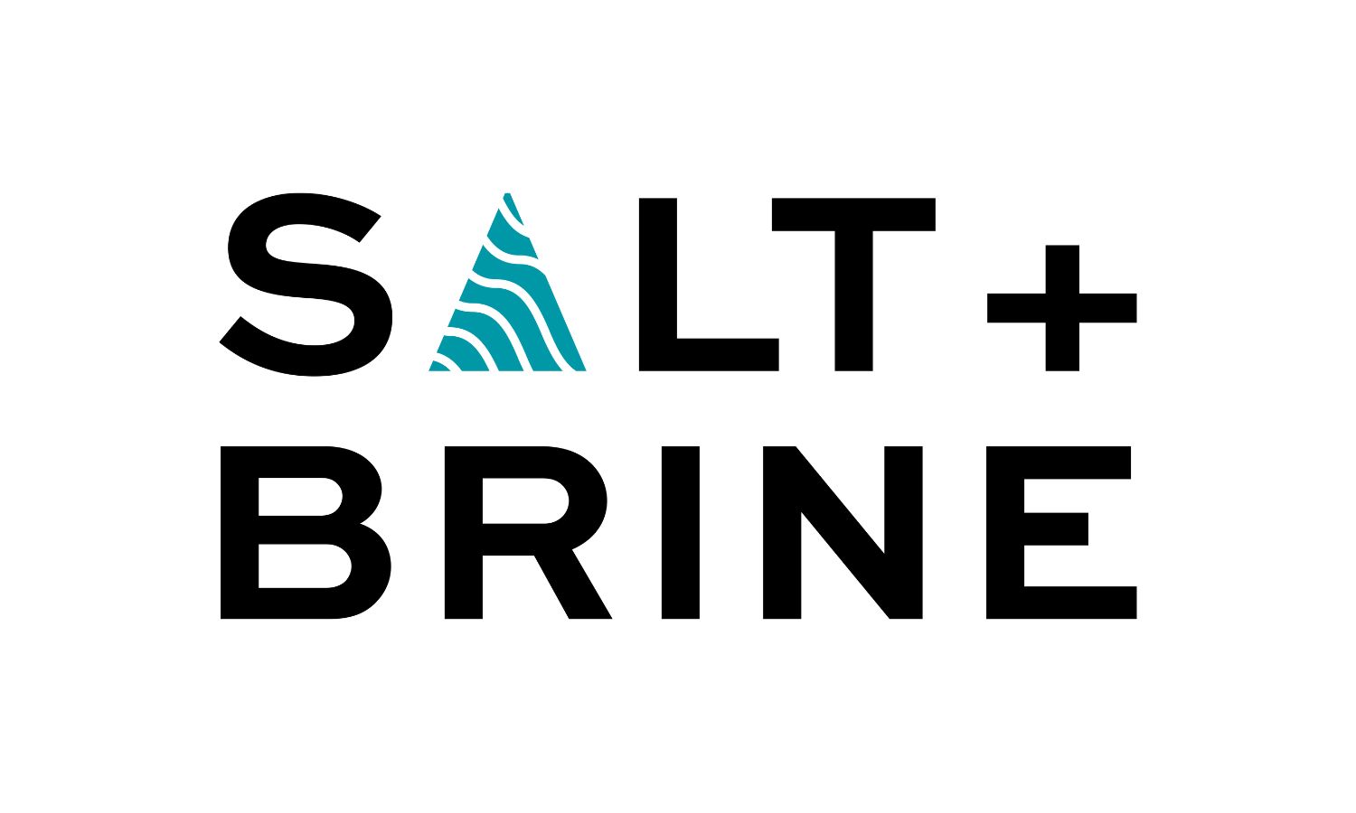 Salt + Brine at The Alexandria San Carlos